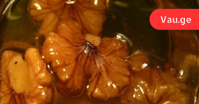 vap.ge - 2023-03-17T005154.172