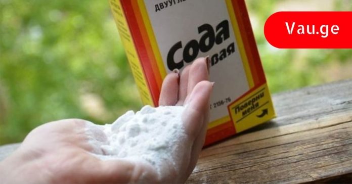 kop.ge - 2023-04-02T160339.073