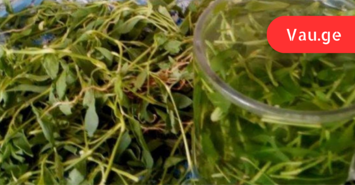 vap.ge - 2023-05-12T005341.481