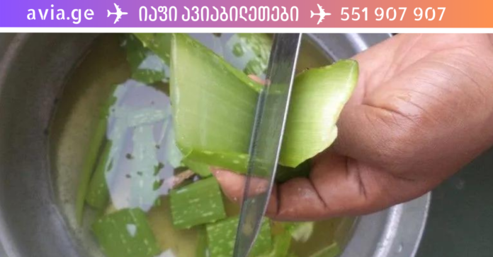 vap.ge - 2023-05-27T001040.591