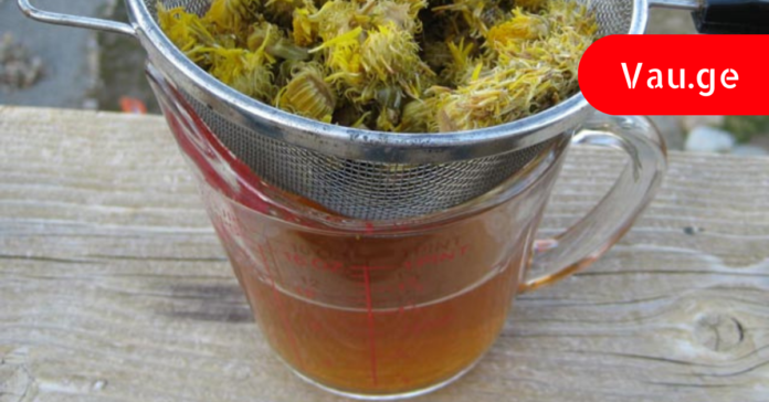 vau.ge - 2023-05-15T121844.302