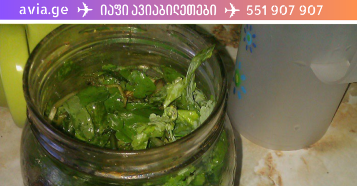 vau.ge - 2023-06-08T142324.342