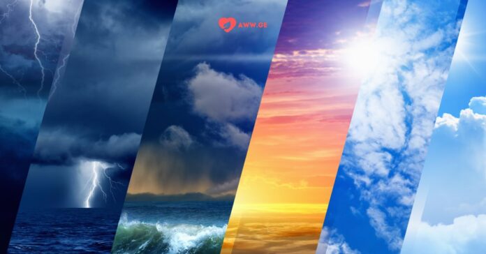 amindis prognozi amindis prognozi