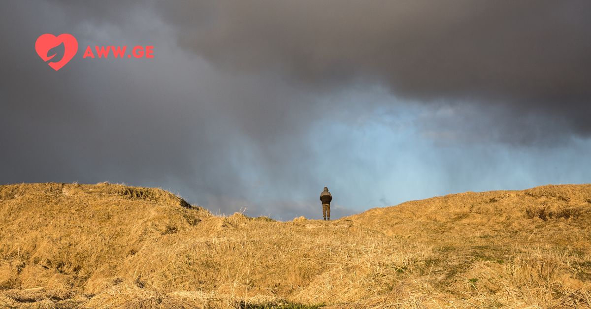 25 დღის ამინდის პროგნოზი